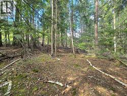 Lot C Kane Road Nelson, BC V1L 6S9