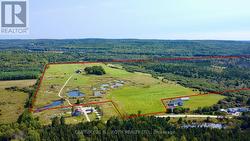 253 CRAIG SIDE ROAD Oro-Medonte, ON L0L 1V0