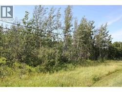 LOT 2 ROSE PRAIRIE ROAD Fort St. John, BC V1J 8C4