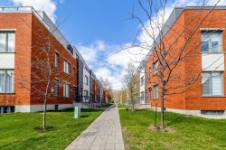 Street - 