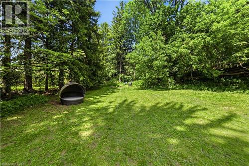 Expansive grassy area bordered by mature evergreen and deciduous trees - 3 Fallsview Road, Hamilton, ON - Outdoor