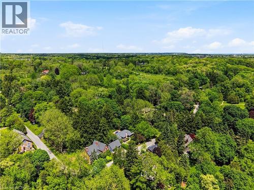 Aerial perspective highlighting a verdant landscape with mature trees and residential properties - 3 Fallsview Road, Hamilton, ON - Outdoor With View