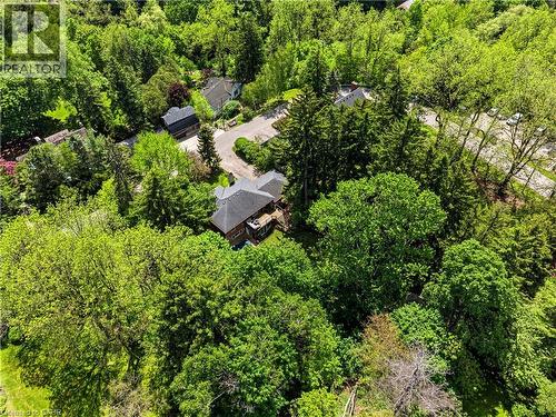 Property surrounded by abundant mature trees - 3 Fallsview Road, Hamilton, ON - Outdoor