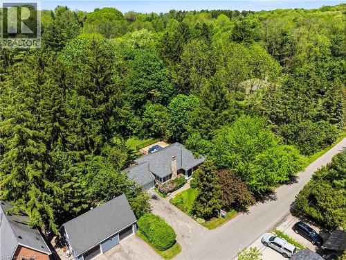 Aerial perspective showcasing a property surrounded by mature trees, featuring a gray shingle roof, a paved driveway, and lush green landscaping - 3 Fallsview Road, Hamilton, ON - Outdoor With View