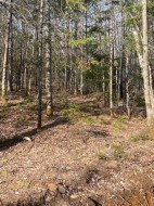 Terre/Terrain - 