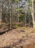 Lot - Route 349, Saint-Didace, QC 