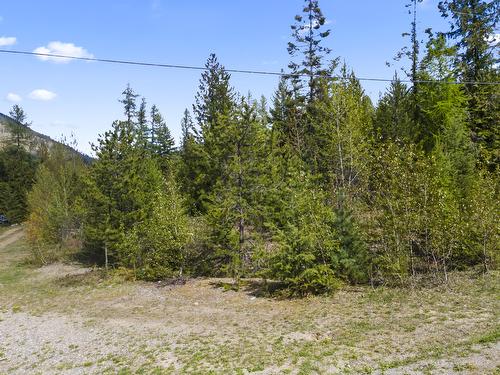 Lot 1 Herrick Road, Kitchener, BC - Outdoor With View