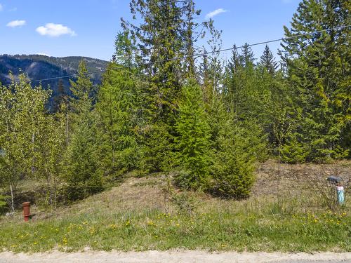Lot 1 Herrick Road, Kitchener, BC - Outdoor With View