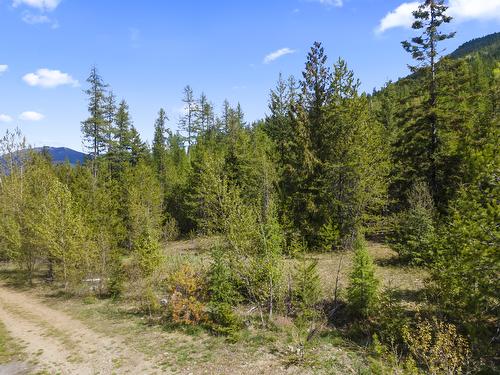 Lot 1 Herrick Road, Kitchener, BC - Outdoor With View