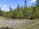 Lot 1 Herrick Road, Kitchener, BC  - Outdoor With View 