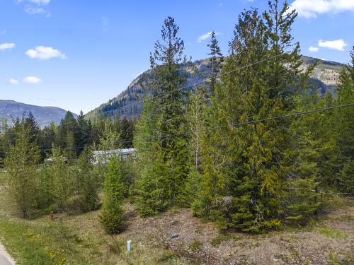 Lot 1 Herrick Road, Kitchener, BC - Outdoor With View