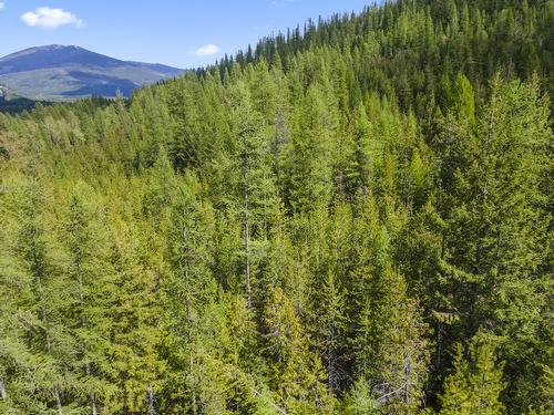 Lot 1 Herrick Road, Kitchener, BC - Outdoor With View
