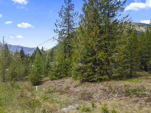 Lot 1 Herrick Road, Kitchener, BC - Outdoor With View