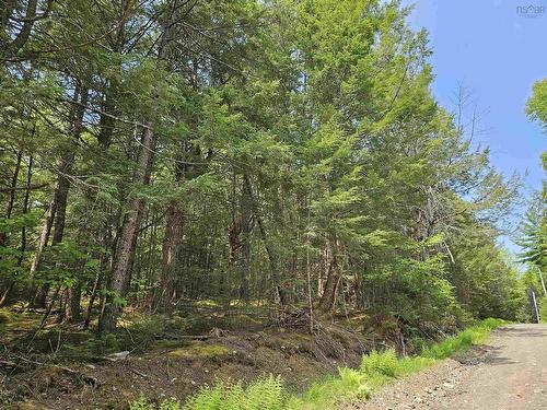 10B Cottage Lane, Pleasantfield, NS 