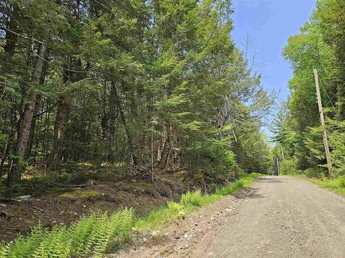 10B Cottage Lane, Pleasantfield, NS 