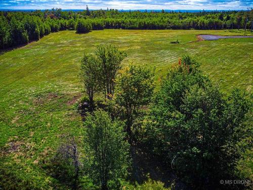 Lot 5 Gulf Shore Road, Gulf Shore, NS 