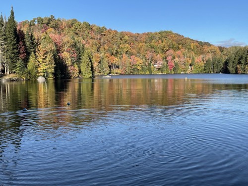 Water access - 1390 Ch. Indian, Saint-Adolphe-D'Howard, QC - Outdoor With Body Of Water With View