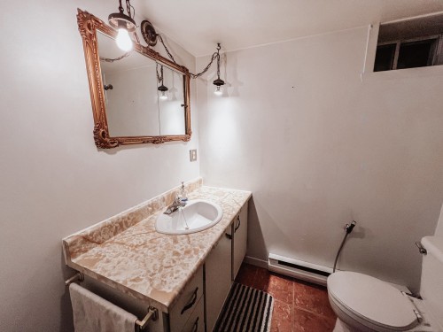 Powder room - 80 Rue Jacques-Cartier S., Saint-Jean-Sur-Richelieu, QC - Indoor Photo Showing Bathroom