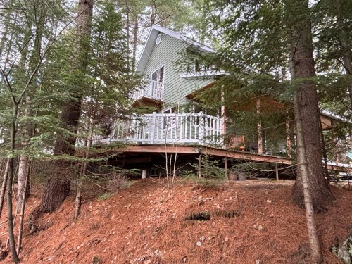 Face arrière - 29 Rue Tessier, Lac-Aux-Sables, QC 