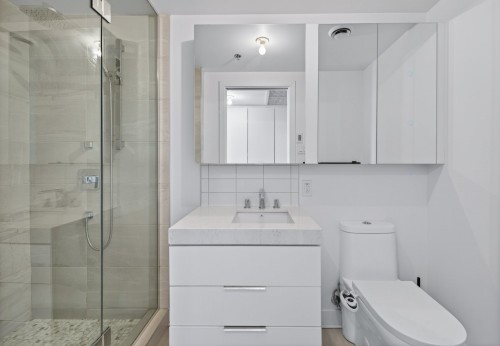 Bathroom - 454-101 Rue Peel, Montréal (Le Sud-Ouest), QC - Indoor Photo Showing Bathroom