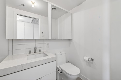 Bathroom - 454-101 Rue Peel, Montréal (Le Sud-Ouest), QC - Indoor Photo Showing Bathroom