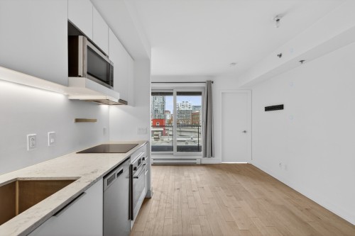 Overall view - 454-101 Rue Peel, Montréal (Le Sud-Ouest), QC - Indoor Photo Showing Kitchen With Double Sink With Upgraded Kitchen