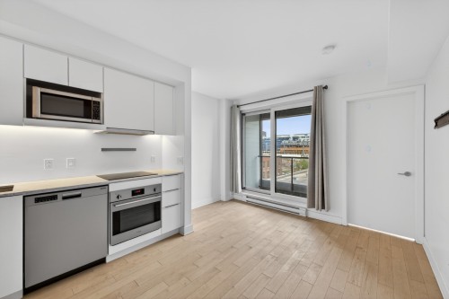 Overall view - 454-101 Rue Peel, Montréal (Le Sud-Ouest), QC - Indoor Photo Showing Kitchen