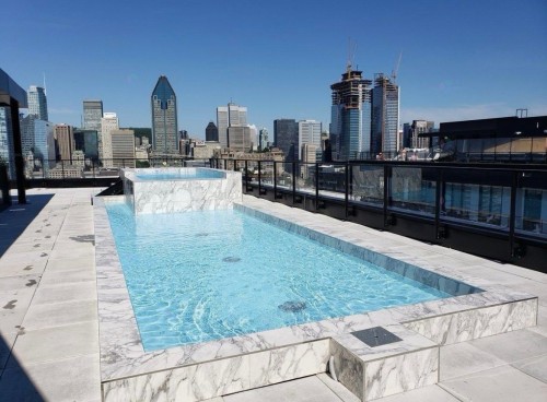 Pool - 454-101 Rue Peel, Montréal (Le Sud-Ouest), QC - Outdoor With In Ground Pool