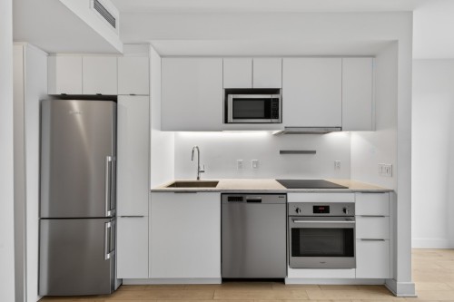 Kitchen - 454-101 Rue Peel, Montréal (Le Sud-Ouest), QC - Indoor Photo Showing Kitchen With Upgraded Kitchen