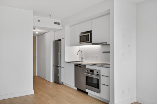 Kitchen - 454-101 Rue Peel, Montréal (Le Sud-Ouest), QC - Indoor Photo Showing Kitchen With Upgraded Kitchen