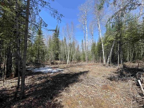 351 Thunder Lake Road, Dryden, ON 