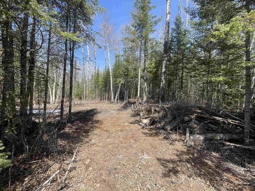 351 Thunder Lake Road, Dryden, ON 