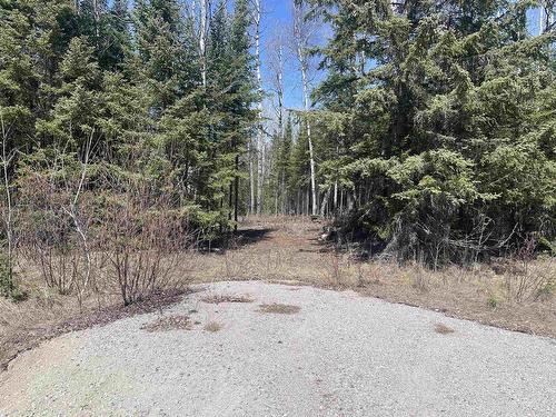 351 Thunder Lake Road, Dryden, ON 