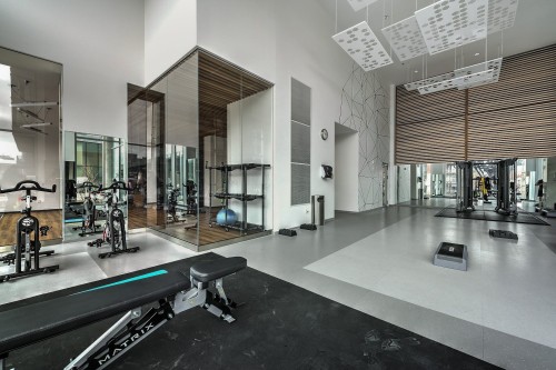 Salle d'exercice - 804-901 Rue De La Commune E., Montréal (Ville-Marie), QC - Indoor Photo Showing Gym Room