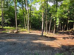 2456 CONC DALHOUSIE CONCESSION Lanark Highlands, ON K0G 1K0