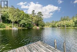 dock view - 