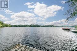 dock view - 