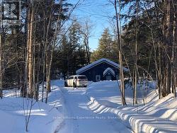 winter fun - 