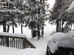 winter - 