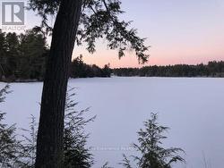 frozen Prospect Lake - 