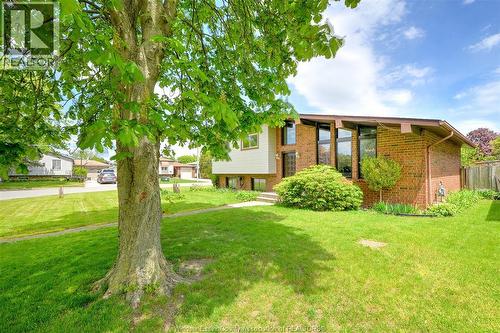 204 Pearson Drive, Harrow, ON - Outdoor