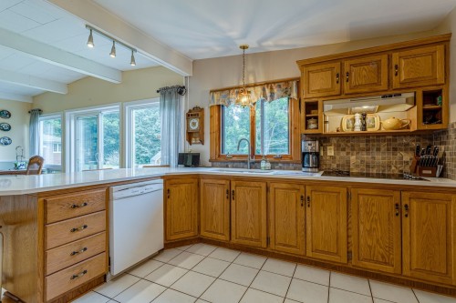 Kitchen - 14 Rue Argyle, Ormstown, QC - Indoor Photo Showing Kitchen With Double Sink