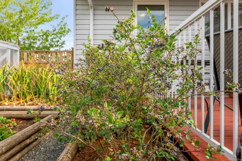 1413 Canso Ave, Comox, BC 
