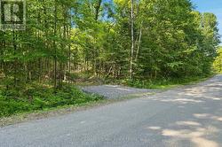 260 LOCH ERNE ROAD Mcdougall, ON P2A 2W7