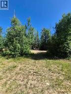 133 Birchwood AVENUE  Canwood Rm No. 494, SK S0J 0Y0