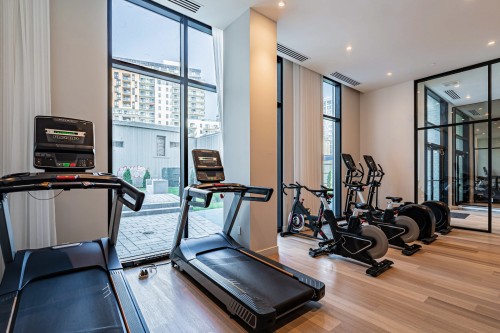 Exercise Room - 814-2151 Rue Léger, Montréal (Lasalle), QC - Indoor Photo Showing Gym Room