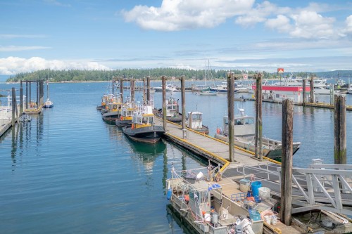 #103-38 Front St, Nanaimo, BC - Outdoor With Body Of Water With View