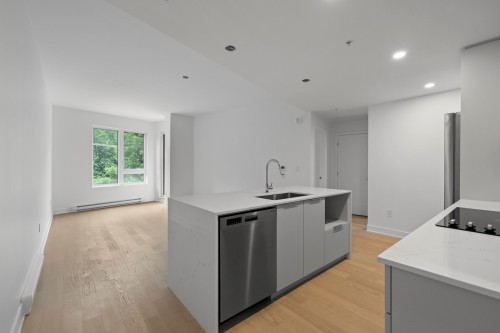 Kitchen - 312-138 Rue Léo-Major, Sainte-Anne-De-Bellevue, QC - Indoor Photo Showing Kitchen