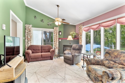 Salon - 490 Rue Merry S., Magog, QC - Indoor Photo Showing Living Room With Fireplace