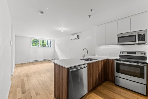 Kitchen - 01-566 Rue Nicolet, Montréal (Mercier/Hochelaga-Maisonneuve), QC - Indoor Photo Showing Kitchen